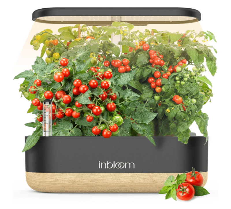 Growing System 10 Pods, Herb Garden Kit inoor with Pump System, Germination Kit with LED Light, Automatic Timer, Black